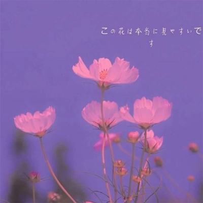 海南宣布设立海口江东新区 2龙头股有望最先受益